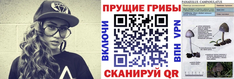 наркошоп  Ковдор  Галлюциногенные грибы Psilocybine cubensis 